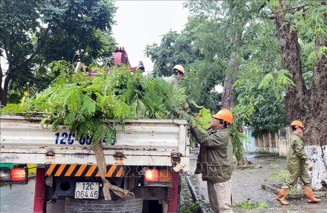 Lực lượng chức năng dọn dẹp cây đổ tại thành phố Lạng Sơn để đảm bảo an toàn lưu thông. Ảnh: Văn Đạt - TTXVN