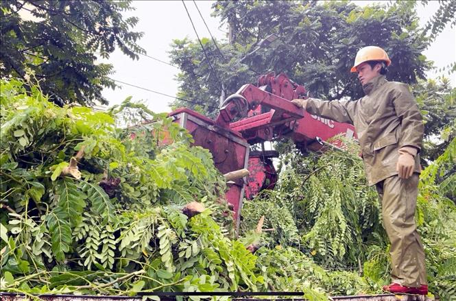 Lực lượng chức năng dọn dẹp cây đổ tại thành phố Lạng Sơn để đảm bảo an toàn lưu thông. Ảnh: Văn Đạt - TTXVN