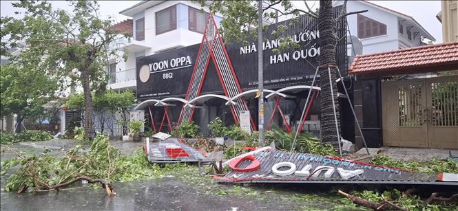 Typhoon Yagi wrecks havoc of Ha Long city, Quang Ninh province. VNA Photo