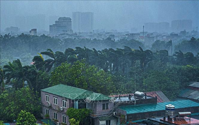 Typhoon Yagi hits Hanoi with strong winds of up to 10-11 level. VNA Photo