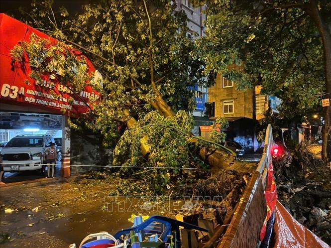 Một cây to đổ gãy ngang đường tại phố Nguyễn Khoái, quận Hai Bà Trưng (ảnh chụp lúc 21h56). Ảnh: Phạm Kiên - TTXVN