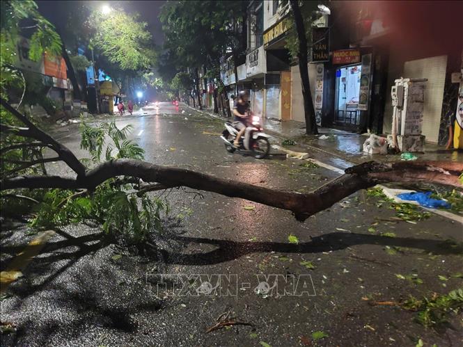 Giao thông trên phố Lạc Trung di chuyển khó khăn, nhiều cây đổ chắn ngang đường. Ảnh: Doãn Tấn - TTXVN