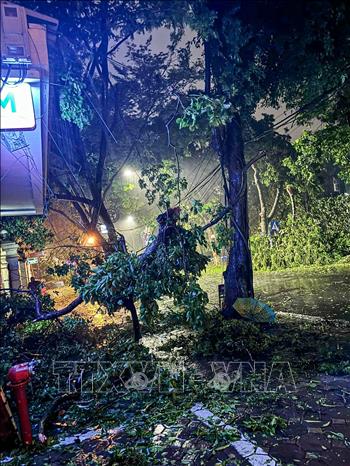 Lực lượng chức năng xử lý cây đổ tại phố Nguyễn Cao, quận Hoàn Kiếm (ảnh chụp  22g). Ảnh: Phạm Kiên - TTXVN  