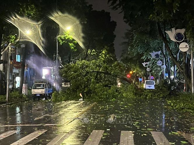 Cây xanh gãy đổ la liệt trên phố Đinh Tiên Hoàng, quận Hoàn KIếm (ảnh chụp lúc 22h05). Ảnh: Phạm Kiên - TTXVN