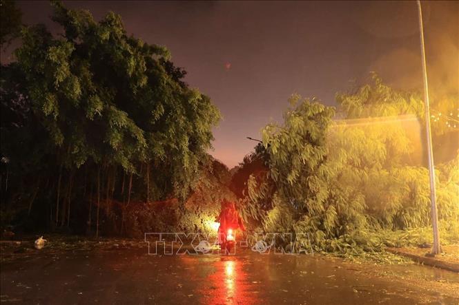 22h, đường Võ Thị Sáu, quận Hai Bà Trưng 