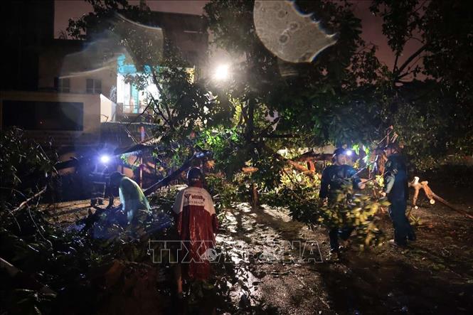 Lực lượng chức năng cắt cây đổ chắn ngang đường Đồng Nhân, quận Hai Bà Trưng (ảnh chụp lúc 22h). Ảnh: Hoàng Hiếu - TTXVN