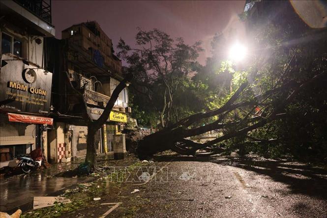 21h48', cây to đổ chắn ngang phố Thi Sách, quận Hoàn Kiếm. Ảnh: Hoàng Hiếu - TTXVN