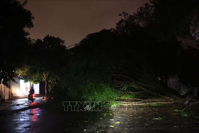 22h, đường Võ Thị Sáu, quận Hai Bà Trưng vẫn bị nhiều cây đổ chắn ngang. Ảnh: Hoàng Hiếu - TTXVN