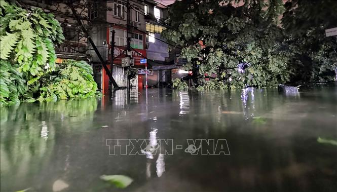 Bão số 3 đổ vào Hà Nội đã khiến cho hai hàng cây trên tuyến phố Dương Văn Bé (quận Hai Bà Trưng) đổ la liệt, cùng với nước ngập sâu tràn vào nhiều nhà dân. Ảnh: Thanh Tùng - TTXVN