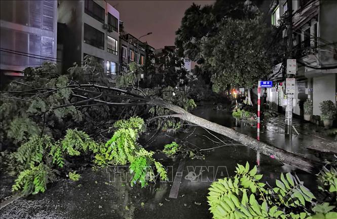 Ngay từ phố Minh Khai rẽ vào Dương Văn Bé thấy cảnh tượng gãy đổ cây xanh la liệt. Ảnh: Thanh Tùng - TTXVN 