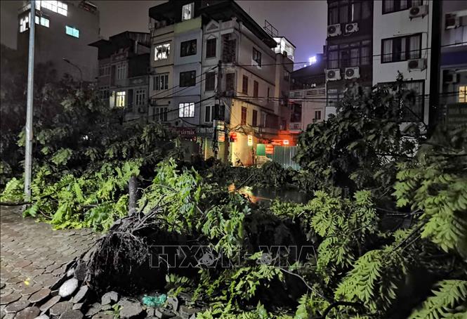 Cả con phố tan hoang trong một cảnh tượng mà người dân sống lâu năm ở đây cũng chưa từng thấy. Ảnh: Thanh Tùng - TTXVN