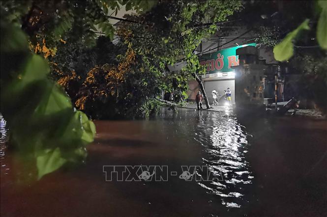 Nước ngập, cây đổ khắp nơi dọc con phố. Ảnh: Thanh Tùng - TTXVN  