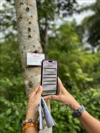 Khách du lịch tìm hiểu về những loài cây có lưu trữ carbon thông qua mã QR. Ảnh: TTXVN phát