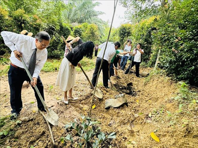 Các đại biểu tham gia sự kiện trồng cây tại  Khu du lịch sinh thái Suối Rao Ecolodge hưởng ứng việc trồng cây bảo vệ môi trường. Ảnh: Huỳnh Sơn-TTXVN