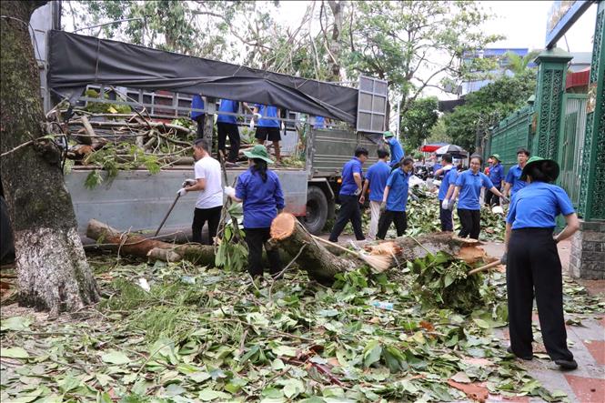 Các lực lượng tập trung hiệp đồng xử lý cây xanh gãy đổ. Ảnh: Hoàng Ngọc - TTXVN