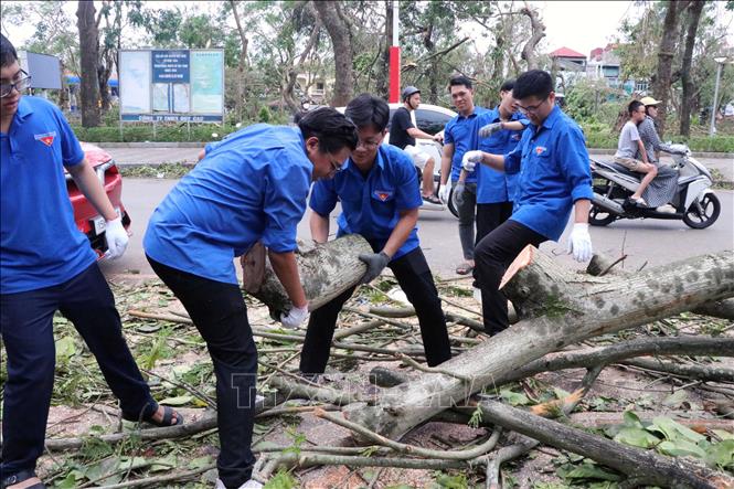 Các lực lượng tập trung hiệp đồng xử lý cây xanh gãy đổ. Ảnh: Hoàng Ngọc - TTXVN