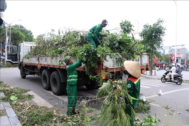 Các lực lượng tập trung hiệp đồng xử lý cây xanh gãy đổ. Ảnh: Hoàng Ngọc - TTXVN