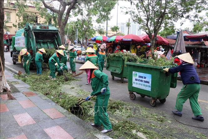 Các lực lượng tập trung hiệp đồng xử lý cây xanh gãy đổ. Ảnh: Hoàng Ngọc - TTXVN