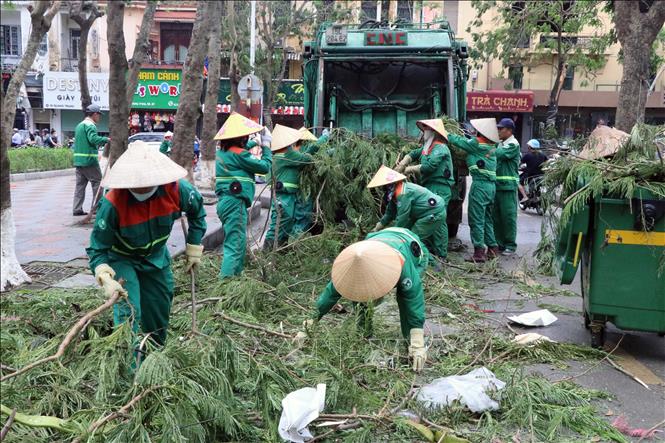 Các lực lượng tập trung hiệp đồng xử lý cây xanh gãy đổ. Ảnh: Hoàng Ngọc - TTXVN