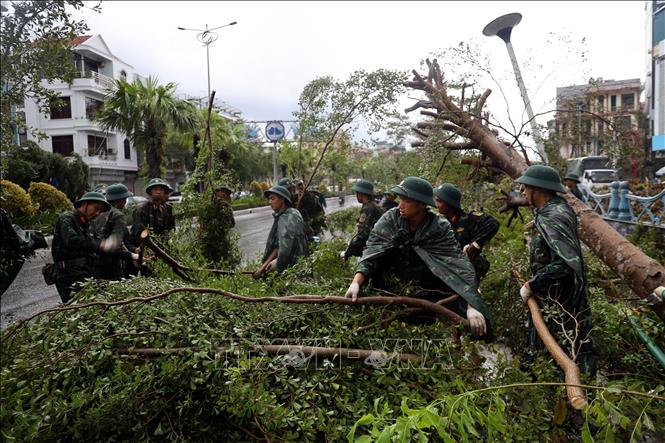 Soldiers remove fallen tree branches on streets in Ha Long city, Quang Ninh province. VNA Photo