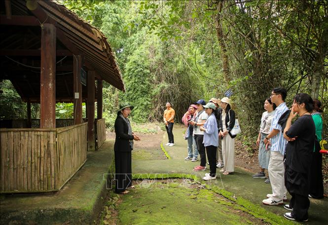 Du khách tham quan nhà ở, nhà làm việc của cán bộ, chiến sĩ lực lượng Mặt trận Dân tộc Giải phóng miền Nam Việt Nam tại Khu di tích Quốc gia đặc biệt Căn cứ Trung ương Cục miền Nam. Ảnh: Giang Phương - TTXVN