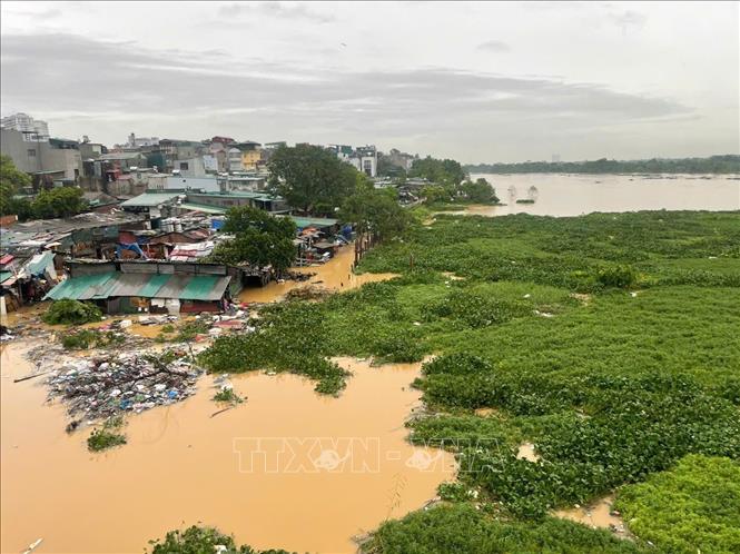 Nước sông Hồng dâng cao, bắt đầu gây ngập khu vực bãi Phúc Xá, quận Hoàn Kiếm (ảnh chụp lúc sáng sớm 10/9). Ảnh: An Đăng-TTXVN