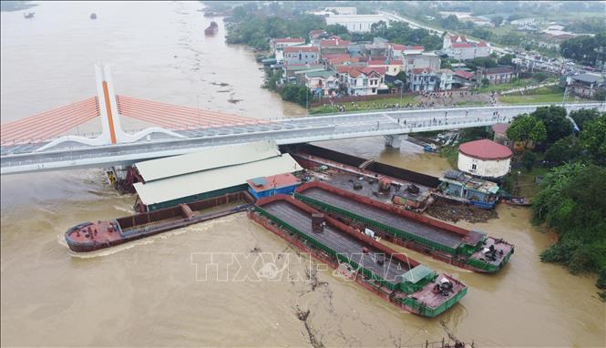 Nhiều tàu chở hàng và sà lan bị mắc kẹt dưới chân cầu Vĩnh Phú thuộc địa bàn phường Dữu Lâu, thành phố Việt Trì (Phú Thọ) sáng 10/9/2024. Ảnh: Tạ Toàn - TTXVN