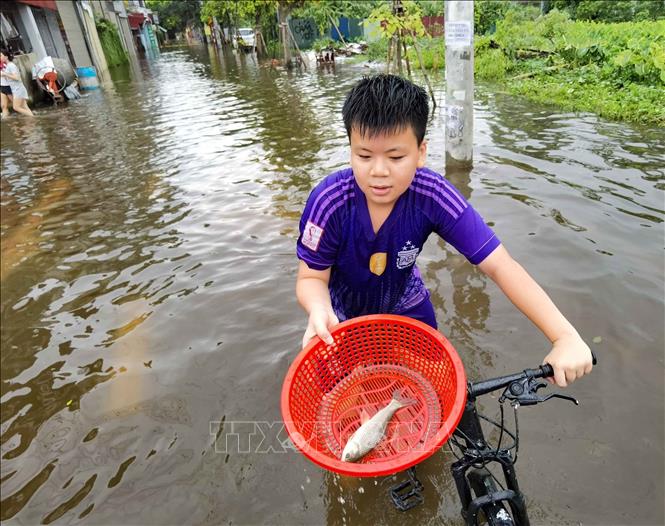 Một sinh nghỉ học vì trường ngập vui vẻ đi vớt cá. Ảnh: Thanh Tùng - TTXVN  