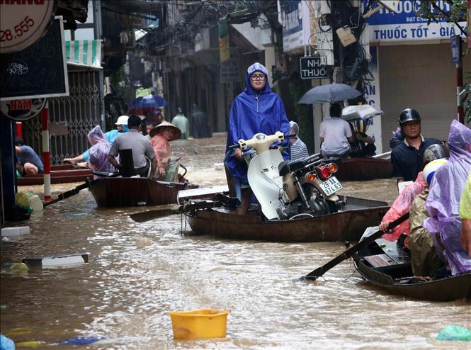 Hình ảnh những con đò dọc ngang trên 
