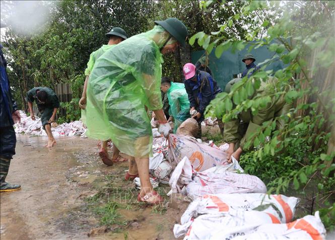 Quân đội và người dân thôn Liệp Mai, xã Ngọc Liệp, huyện Quốc Oai khẩn trương gia cố đoạn đê bao sông Tích. Ảnh: Vũ Sinh - TTXVN