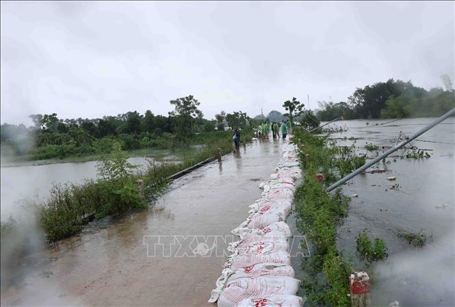 Đoạn đê bao sông Tích Giang thuộc địa bàn thôn Liệp Mai, xã Ngọc Liệp, huyện Quốc Oai được gia cố tạm thời. Ảnh: Vũ Sinh - TTXVN