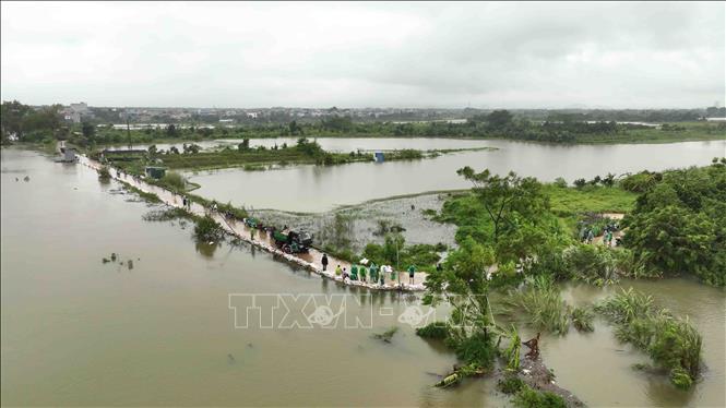 Đoạn đê bao sông Tích thuộc địa bàn thôn Liệp Mai, xã Ngọc Liệp, huyện Quốc Oai được gia cố bằng các bao tải chứa đất. Ảnh: Vũ Sinh - TTXVN