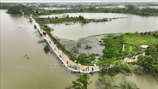 Đoạn đê bao sông Tích thuộc địa bàn thôn Liệp Mai, xã Ngọc Liệp, huyện Quốc Oai được gia cố bằng các bao tải chứa đất. Ảnh: Vũ Sinh - TTXVN