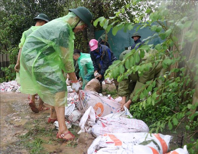 Quân đội và người dân thôn Liệp Mai, xã Ngọc Liệp, huyện Quốc Oai khẩn trương gia cố đoạn đê bao sông Tích. Ảnh: Vũ Sinh - TTXVN