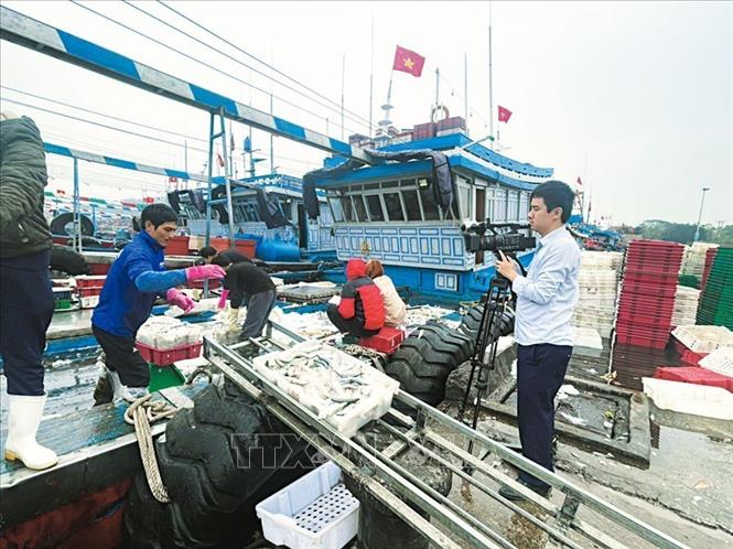 Phóng viên Nguyễn Đình Nam, Cơ quan thường trú Thông tấn xã Việt Nam tại Thanh Hóa ghi hình cảng cá Lạch Bạng, Nghi Sơn, tháng 1/2023. Ảnh: TTXVN