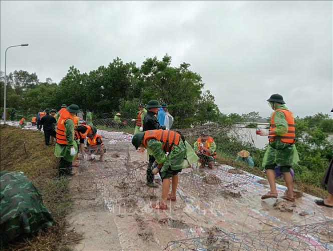 Cán bộ, chiến sĩ cùng các lực lượng chức năng và người dân gia cố đoạn đê sông Tích. Ảnh: Vũ Sinh - TTXVN