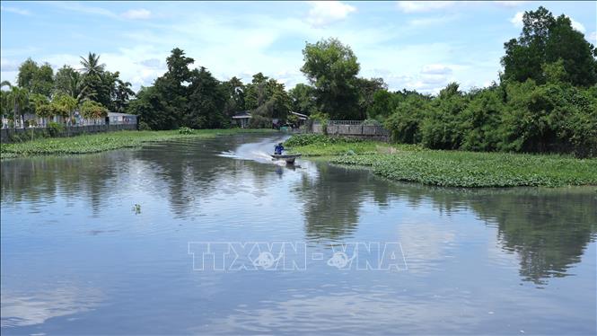 Rạch Tây Ninh bị ô nhiễm nặng, nước chuyển sang màu đen, bốc mùi hôi thối. Ảnh: Minh Phú - TTXVN