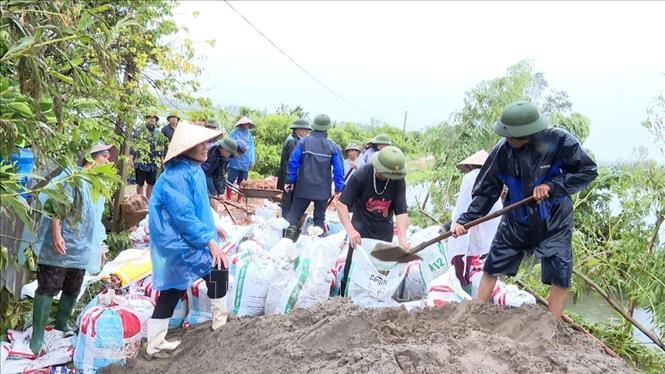 Khẩn trương xử lý sự cố sạt lở trên đê thuộc địa bàn thành phố Chí Linh. Ảnh: TTXVN phát