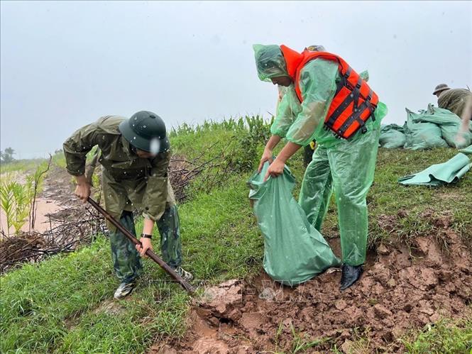 Lực lượng chức năng xã Hồng Phong, huyện Thanh Miện kịp thời xử lý sự cố đê điều tại địa phương. Ảnh: TTXVN phát