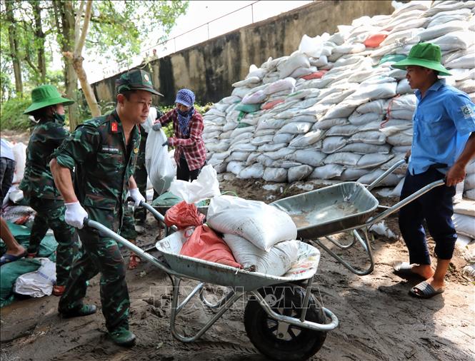 Lực lượng Ban Chỉ huy quân sự thành phố Bắc Giang tham gia gia cố bể xả Trạm bơm Cống Bún. Ảnh: Danh Lam -TTXVN 