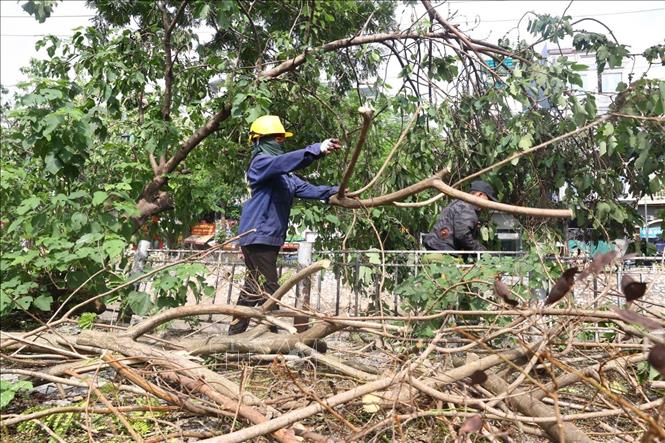 Đơn vị đến từ Ninh Bình hỗ trợ thu dọn cây đổ khu vực phố Kim Ngưu, quận Hai Bà Trưng. Ảnh: Huy Hùng - TTXVN