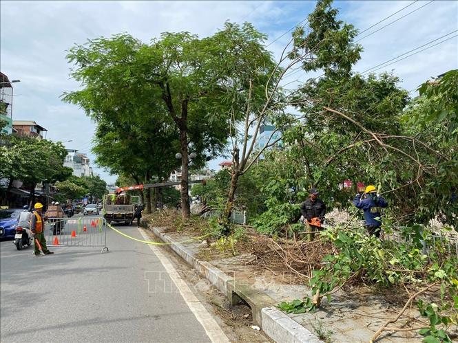 Đơn vị đến từ Ninh Bình hỗ trợ thu dọn cây đổ khu vực phố Kim Ngưu, quận Hai Bà Trưng. Ảnh: Vũ Sinh - TTXVN