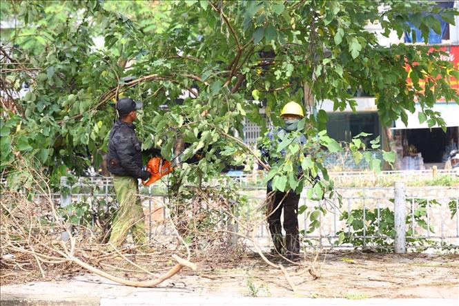 Đơn vị đến từ Ninh Bình hỗ trợ thu dọn cây đổ khu vực phố Kim Ngưu, quận Hai Bà Trưng. Ảnh: Huy Hùng - TTXVN