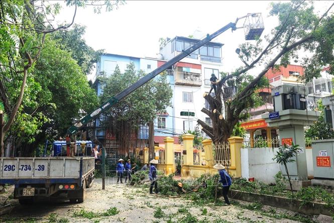 Công nhân cắt tỉa cây gãy, đổ trên phố Khương Trung, quận Thanh Xuân. Ảnh: Tuấn Anh - TTXVN