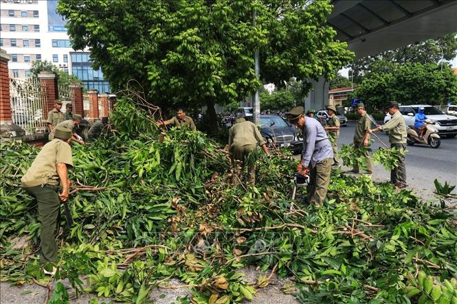 Thu dọn, cắt tỉa cây xanh bị gãy, đổ trên đường Trường Chinh, quận Đống Đa. Ảnh: Tuấn Anh - TTXVN