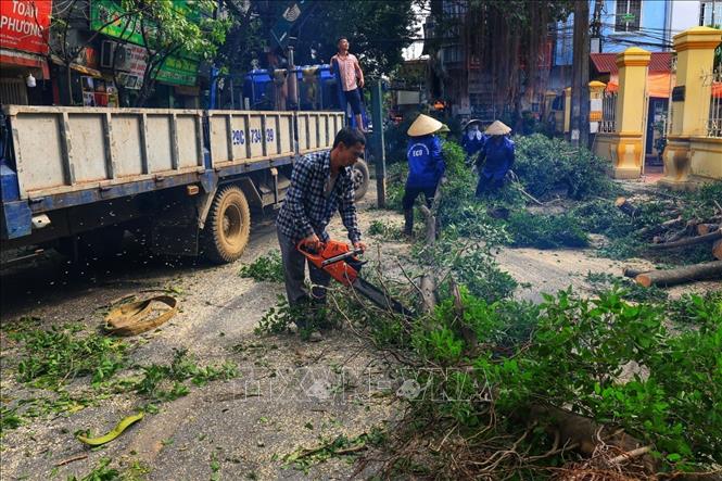 Thu dọn cây gãy đổ trên địa bàn quận Thanh Xuân. Ảnh: Tuấn Anh - TTXVN