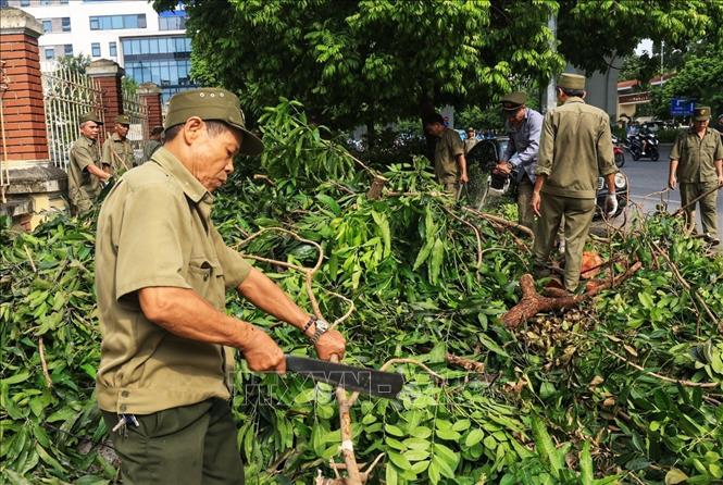 Dọn dẹp, cắt tỉa cây xanh gãy đổ trên đường Trường Chinh, quận Đống Đa. Ảnh: Tuấn Anh - TTXVN