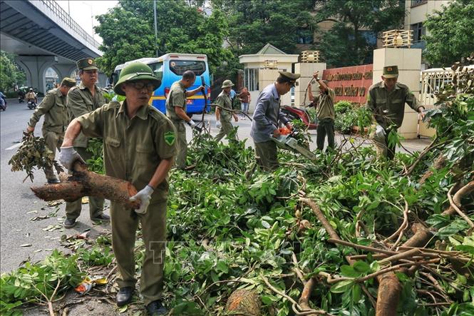 Đội Bảo vệ dân phòng phường Khương Thượng, quận Đống Đa dọn dẹp, cắt tỉa cây xanh gãy đổ trên đường Trường Chinh. Ảnh: Tuấn Anh - TTXVN