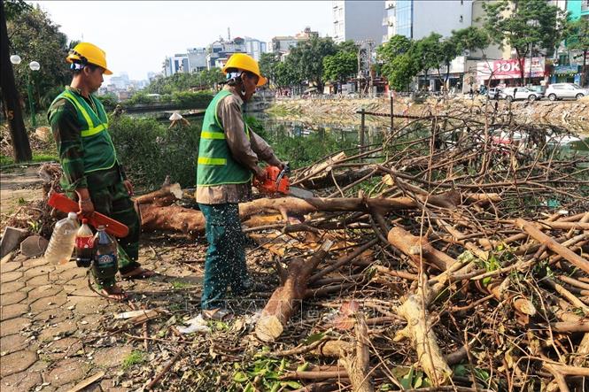 Thu dọn, cắt tỉa cây xanh trên đường Kim Giang, quận Thanh Xuân. Ảnh: Tuấn Anh - TTXVN