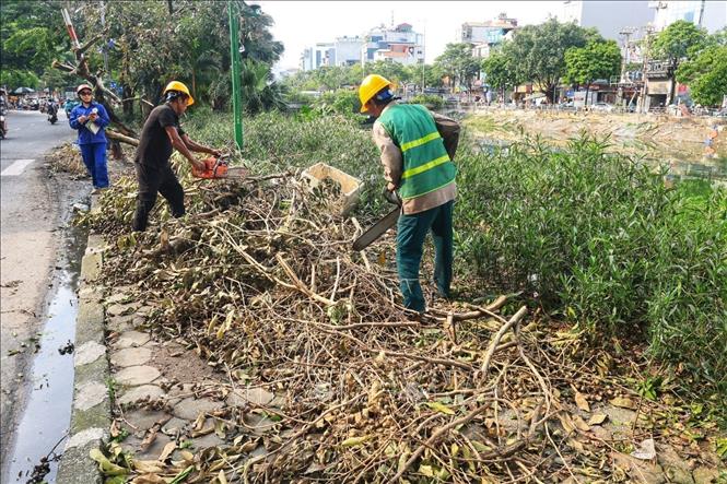 Thu dọn, cắt tỉa cây xanh trên đường Kim Giang, quận Thanh Xuân. Ảnh: Tuấn Anh - TTXVN